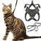 Houdini&trade; Escape Proof Cat Harness and Leash Set by OutdoorBengal for Walking Cats and Kittens (Soft Mesh, Kitten)