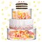 Sunnyray 2 Pcs Acrylic Cake Stands for Dessert Table Clear Fillable Cake Riser Cupcake Cake Tier with LED Strings for Birthday Wedding Holiday Party Display(8&#39;&#39;, 10&#39;&#39;)