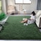 DweIke Fluffy Dark Green Rug Carpet for Bedroom Living Room, 4x6 Feet Area Rugs for Boys Kids Girls Bedroom Decor, Soft Shaggy Plush Cute Floor Rug for Baby Nursery, Non-Slip and Washable Rug