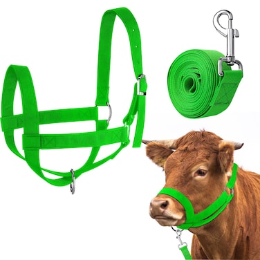 Hillban Cow Halter Cattle Halters Adjustable Calf Halter with Leading Rope for Miniature Horse Donkey Goat Foal Nylon Cattle Halters Training Supplies (Green,Medium)