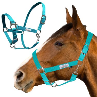 Prairie Horse Supply Nylon Horse Halter, Turquoise - 1 Inch Wide, Horse Halter Adjustable, Horse Harness, Pony Halter, Horse Equipment and Supplies - Ideal for Equestrian Use