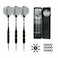 ROOBEEO 3 Packs Steel Tip Darts 24 Grams Steel Tip Darts Professional Darts Set with Brass Barrels Aluminum Shafts 6pc Dart Flights 8pc Flight Protectors 3pc Nylon Darts Shafts (Black)