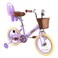RULLY 16 Inch Girls Bike for 4 5 6 Years Girls with Training Wheels &amp; Basket, Kids Bicycle with Doll Seat &amp; Bell &amp; Handbrake, Children Cycle, Purple
