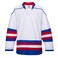 EALER H900 Series Ice Hockey League Team Color Blank Practice Jersey &amp; Thick, Breathable and Quick-Dry High Strength Fabric&amp;Unisex Junior to Senior