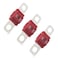 3PCS AMI/Midi Fuse, High Current 50A, for Cars, Buses, Trucks, Caravans, Construction Vehicles, Passenger Car, Electrocar Golf Cart, Motorhome