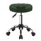BFTOU Classic Swivel Stool with Wheel Perfect for Salon Work Home SPA Shop Height-Adjustable and Cost-Effective Rolling Stool Chair Small (Green)