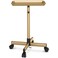 TASALON Premium Salon Tray on Wheels, Aluminum Salon Rolling Tray Trolley for Salon Essentials, Adjustable Height Provides Ample Storage for Hairstylist Tray, Tattoo Tray and Clinic Tray Use - Gloden