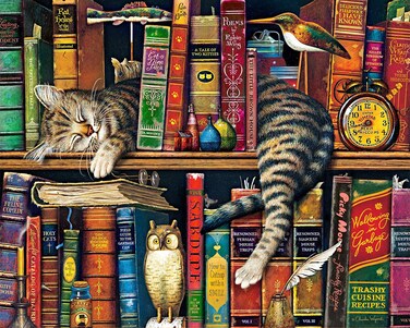 TUMOVO Paint by Numbers for Adults, DIY Oil Painting Charles Wysocki Adult Paint by Numbers Kits on Canvas Wall Decor, Frederick The Literate Painting Kits for Kids, Cats &amp; Books - 16"x20