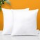 OTOSTAR Premium Outdoor Waterproof Throw Pillow Inserts 20 x 20 Inches Water Resistant Pillow Inserts Square Decorative Pillows for Couch Sham Cushion Stuffer Garden Furniture Patio Bench,Pack of 2