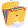 13 Pocket Expanding File Folder Accordian File Organizer, A4 Letter Size Paper Document Receipt Holder for School Office Supplies, Yellow