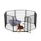 FXW Homeplus Indoor Dog Playpen - Stress-Free and Safe Play, 32 Inch 8 Panels for Small and Medium Dogs, Black│Patented