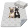 FXW Washable Pee Pads for Dogs, Puppy Pads with Super Absorbent, Specifically Designed for 24inch 6 Panels Dog Playpen, Rectangle, 63" x 39", 1 Pack