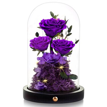 Agrul Valentines Day Flowers Roses Gifts for Her Preserved Roses in Glass Dome Forever Real Roses for Wife Girlfriend,Gifts Women Mom Best Friend Grandma,Purple Roses Gifts for Her.