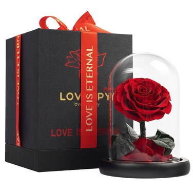 LOVAPPY Eternal Enchanted Forever Preserved Rose - Infinity Rose in Glass Dome - Made from Real Fresh Beauty Rose - Romantic Gifts for Female - Valentines Day - Gift for Mom (Red, 6,5 inch)