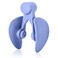Sozilifty Pelvic Floor Muscle Repair Trainer, Inner Thigh Exerciser, Leg/Arm/ Hip Shaping or Strength Training Workout Equipment for Women(Blue)