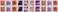 USPS 2023 Tulip Blossoms Forever First Class Postage Stamps (20 Count Strip)
