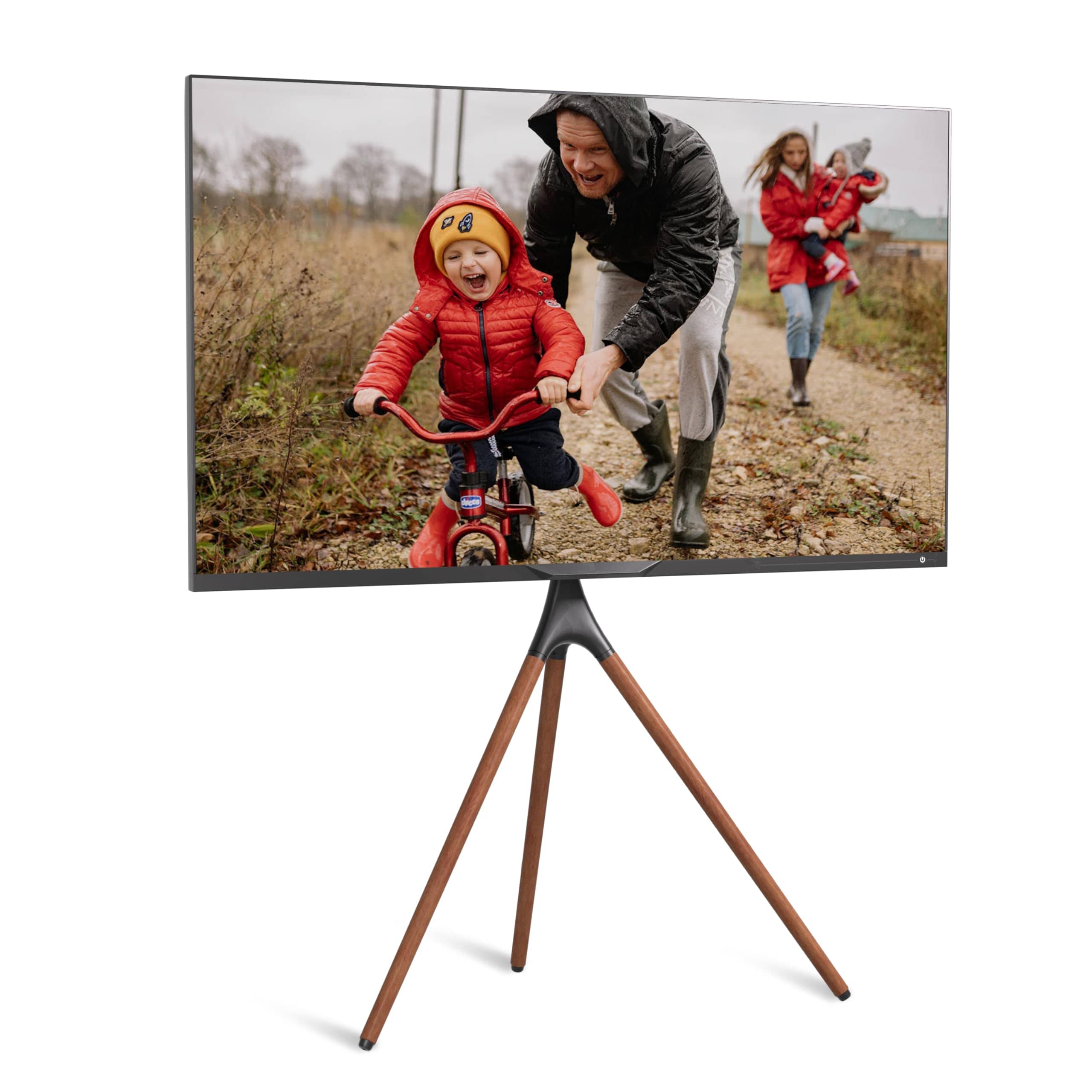 promounts Promounts Easel Floor Tv Stand 47 inch