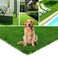 CLOVERHOLM Artificial Grass 31.5 x 47.2 inches Dog Potty Training Rug, Fake Grass Mat with Drainage Hole, Easy Clean Artificial Grass Turf for Indoor, Outdoor Flooring, Patio Lawn Decoration