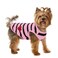 Preferhouse Pet Dog Striped T-Shirt Dogs Cats Cotton Vest Spring Summer Pet Apparel Tee Shirt Suitable for Small and Medium Large Pets French Bulldog Bichon