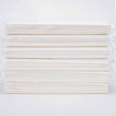 Cartisen Car Tissue Refills,Facial Napkin Refills for Car Visor Tissue Holder,300 Sheets, 6 Packs (6 Pack)
