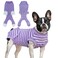 Dog Recovery Suit, Surgery Recovery Suit for Male Female Dogs Cats Spayed Dog Onesie After Surgery, Dog Post Surgery Suit Anti Licking &amp; Biting Surgical Shirt with Pee Hole，Purple Small