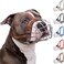 BRONZEDOG Pitbull Dog Muzzle Breathable Metal Basket for Large Dogs Amstaff Staffordshire Terrier Biting Chewing Barking (Leather, Brown)