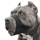 Mayerzon Pitbull Muzzle, Soft Dog Muzzle with Anti-Slip Strap for American Bully Bulldog Boxers Rottweilers, Fabric Mouth Guard for Medium Large Short Snout Dog Anti Biting Chewing, Allow to Drink