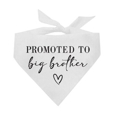 Promoted to Big Brother Baby Announcement Dog Bandana (White, XS 691) GB
