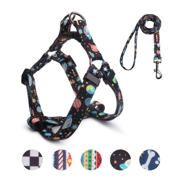 QQPETS Dog Harness Leash Set Adjustable Heavy Duty No Pull Halter Harnesses for Small Medium Large Breed Dogs Back Clip Anti-Twist Perfect for Walking (L(23"-32" Chest Girth), Space)