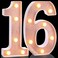 Treela 8.7'' Decorative LED Light up Numbers, Light up Number Sign for Night Party Decorations Happy Birthday LED Sign Backdrop Anniversary Party Bar Wall Decor(Rose Gold, 16th)