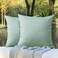 OTOSTAR Pack of 2 Decorative Outdoor Waterproof Throw Pillow Covers 18x18 Inch Garden Square Pillow Cases Outdoor Pillow Covers Cushion Case Patio Pillow Shells for Sofa Couch Tent Bench Decor (Mint)