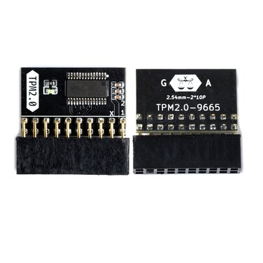 TPM2.0 Encryption Security Module, GA 20-1 Pin 2 * 10P TPM Remote Card Compatible with Win11 2.0 System, Memory Module of DDR4 for Gigabyte Platform Protection Module