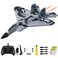 AIGIMU F-22 RC Plane 2 Channel Remote Control Airplane Easy to Fly Airplane Toy for Beginners, 2CH F22 RC Airplane Toy for Kids Boys Girls Adults and Teens