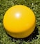 BuyBocceBalls Listing - Tournament Quality - Yellow 57mm Bocce Pallino or Pallina