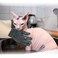 vomvomp 6 Pack Sphynx Cat Bath Gloves Hairless Cats Bath Exfoliating Glove for Sphynx Shower Body Scrub