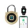 Gym Locker Padlock eLinkSmart Fingerprint Padlock with 1000+ App User - Outdoor Waterproof Security Smart Lock for Gym Locker Backpack Gun Case Field Box Gold Support iOS Watch
