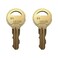 (2) 84-16120 4001-035 Keys for Doorking DKS Keypads, Gate Telephone Entry System, Gate Operators and Openers Made After 1997 and Before 2020