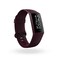 Fitbit Charge 4 Fitness and Activity Tracker with Built-in GPS, Heart Rate, Sleep &amp; Swim Tracking, Rosewood/Rosewood, One Size (S &amp;L Bands Included)