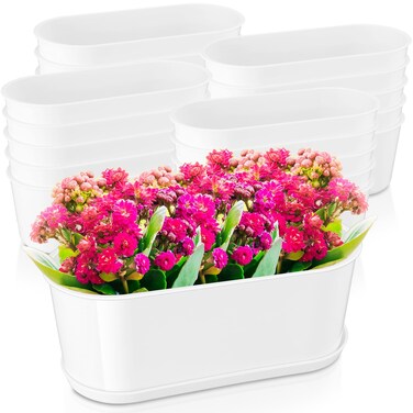 FillTouch 24 Sets Herb Planter Rectangular 9 x 3.5'' Window Box Planter Flower Plants Pots White Rectangle Plastic Planter Box with Multiple Drainage Holes and Tray for Garden Succulent Windowsill