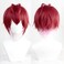 magic acgn Riddle Rosehearts Cosplay Wig Anime Wig Costume Character Wig