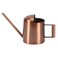 Stainless Steel Watering Can, Indoor Plants Watering Pot Small Long Spout Sprinkling Jar for Houseplant Office Desk Garden Outdoor Flowers Succulents Bonsai Gardening Decorative Easy Refilling 300ml