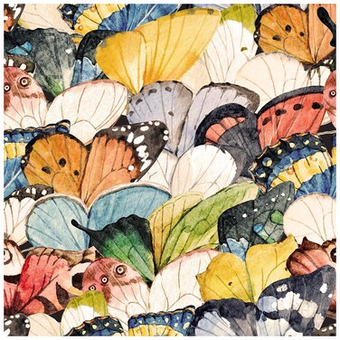 HAOKHOME Vintage Butterfly Peel and Stick Wallpaper for Bathroom Colorful Stick on Removable Home Decorations 17.7in x 118in