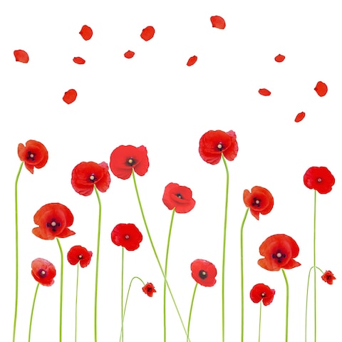 Maydahui 2 Sheets Red Poppy Flower Wall Decals Beautiful Floral Wall Stickers(24x55 Inch) Peel Stick Removable Art Mural Decor for Bedroom Living Room TV Sofa Background