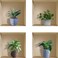 3D Green Potted Plants Wall Stickers Decals, Botanical Leaves Creative Adhesive DIY Vinyl Removable Magic Pictures Wall Decor Wallpaper Mural for Living Room Kitchen,Set of4