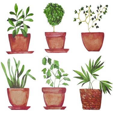 Maydahui 6 Sheets Freshness Green Plant Potted Wall Decals Plant Wall Stickers for Living Room Classroom Decor