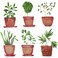 Maydahui 6 Sheets Freshness Green Plant Potted Wall Decals Plant Wall Stickers for Living Room Classroom Decor