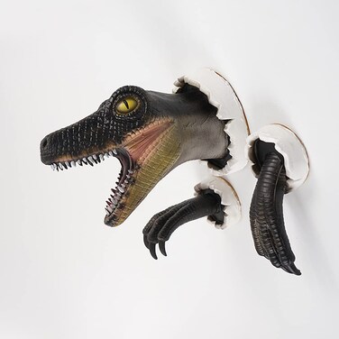 Megartico Dinosaur Head wall Dinosaur Wall Mounted Decor Statue Three-piece Suit Home