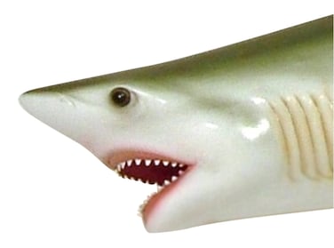 Beautiful Shark Replica 28" with Teeth
