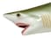 Beautiful Shark Replica 28" with Teeth