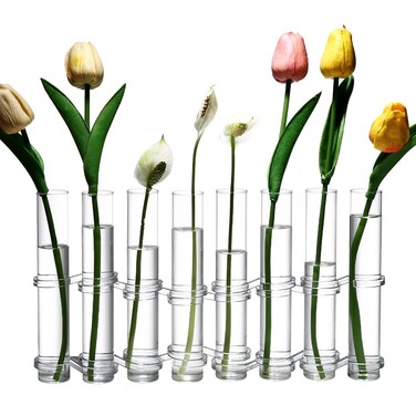 Dinyeo Hinged Flower Vase Small Tiny Glass Foldable Test Tube Vase Propagation Station for Plant.(8 Pcs)